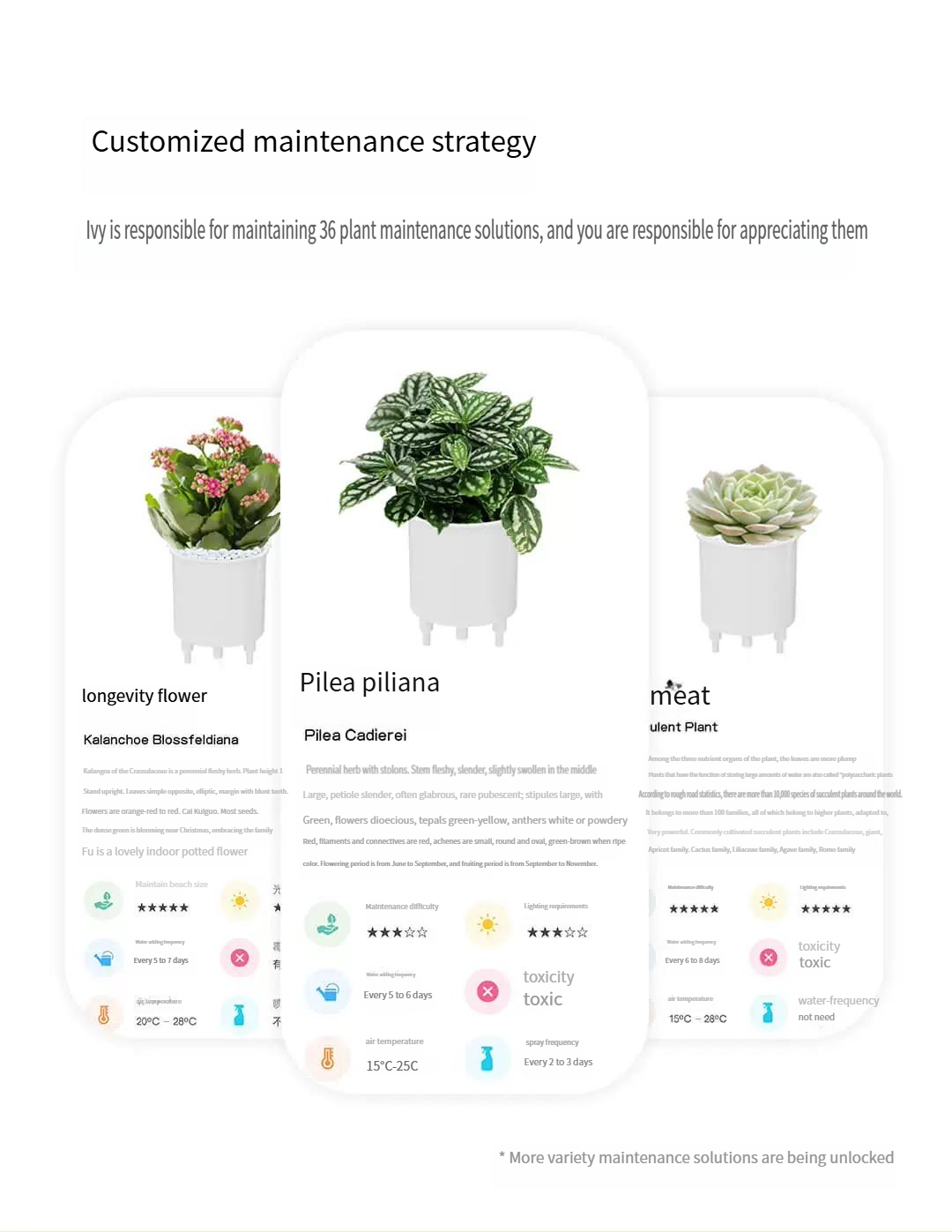 Emotional green plant pot birthday gift for girls, girlfriends, boys, and wives smart ornaments