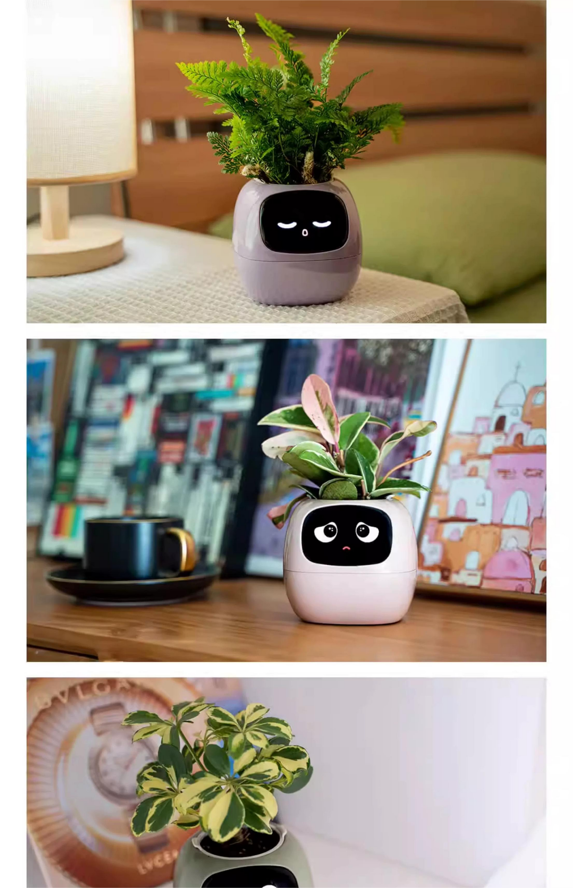 Emotional green plant pot birthday gift for girls, girlfriends, boys, and wives smart ornaments