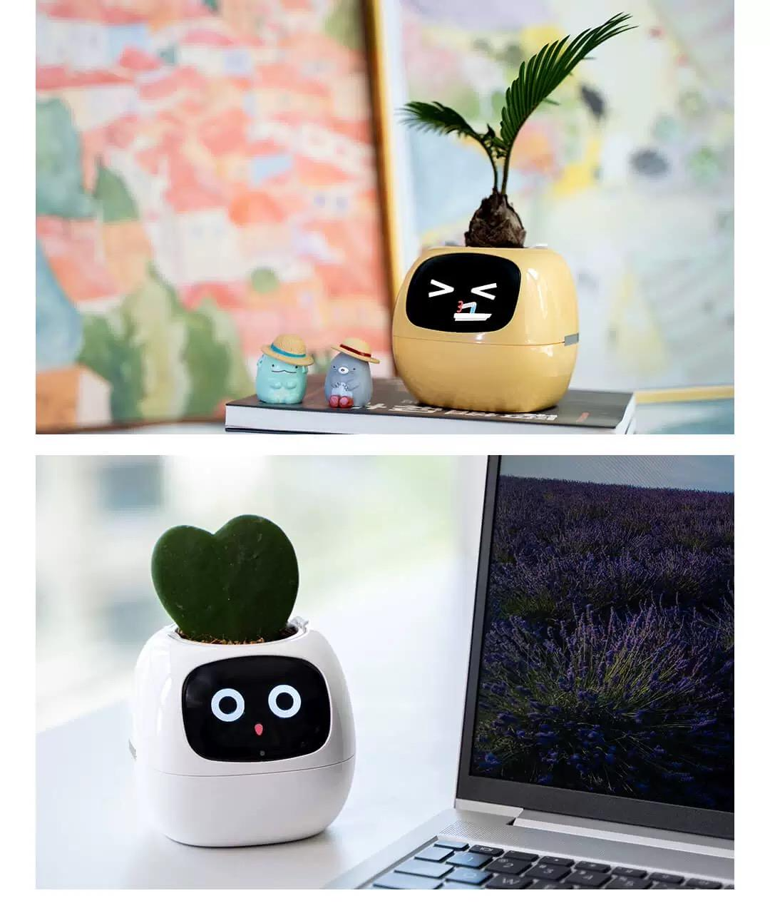 Emotional green plant pot birthday gift for girls, girlfriends, boys, and wives smart ornaments