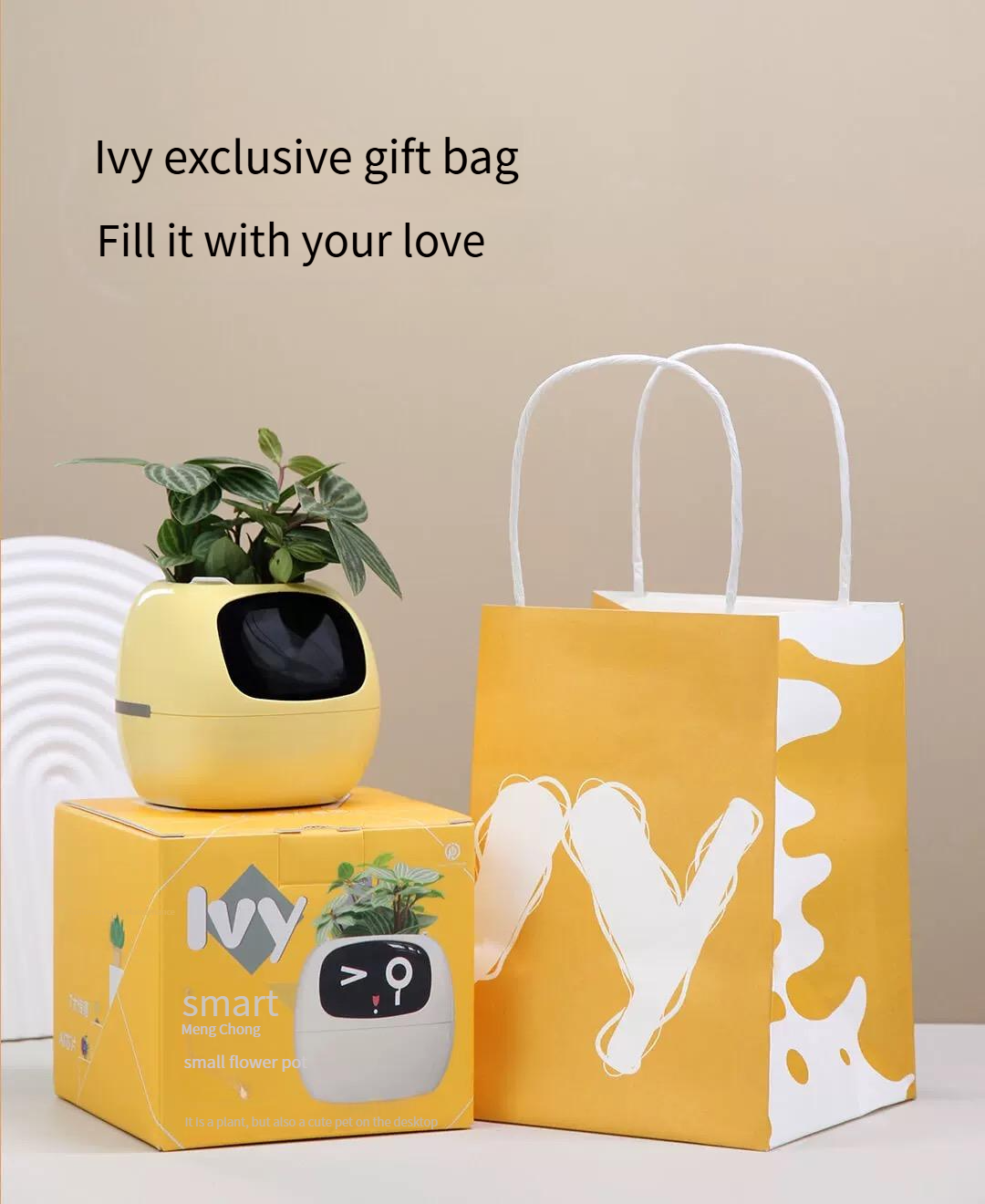 Emotional green plant pot birthday gift for girls, girlfriends, boys, and wives smart ornaments