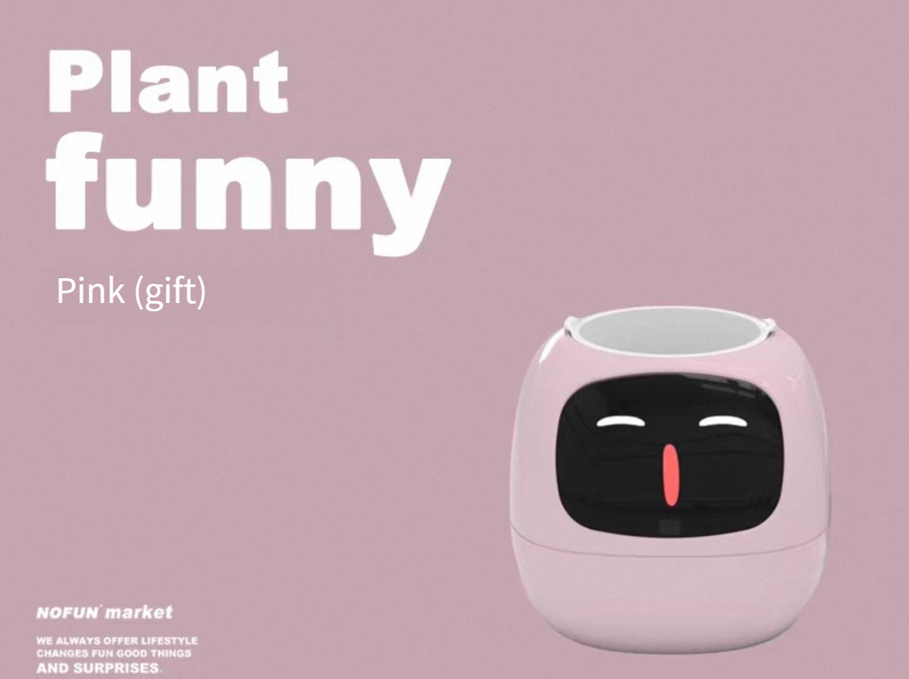 Emotional green plant pot birthday gift for girls, girlfriends, boys, and wives smart ornaments